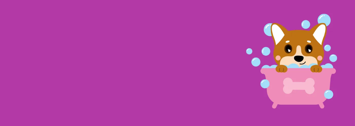 Bakımlı ve mutlu patiler 🐾❤️